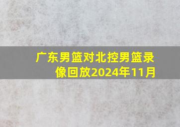 广东男篮对北控男篮录像回放2024年11月