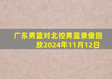 广东男篮对北控男篮录像回放2024年11月12日