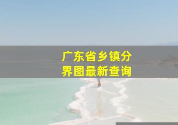 广东省乡镇分界图最新查询