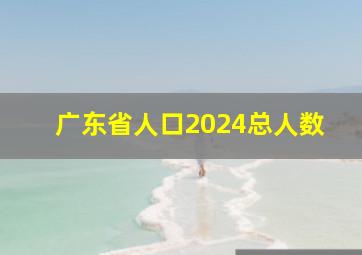 广东省人口2024总人数