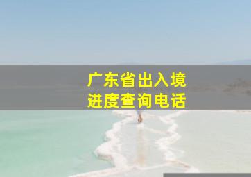 广东省出入境进度查询电话