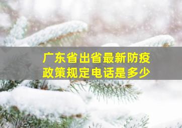 广东省出省最新防疫政策规定电话是多少