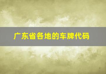 广东省各地的车牌代码