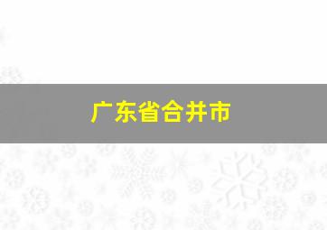 广东省合并市