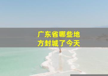 广东省哪些地方封城了今天