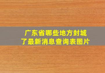 广东省哪些地方封城了最新消息查询表图片