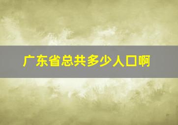 广东省总共多少人囗啊