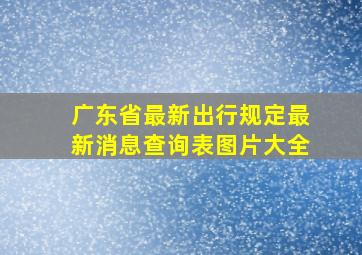 广东省最新出行规定最新消息查询表图片大全