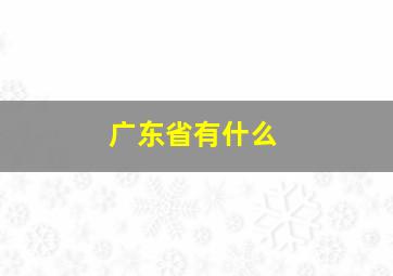 广东省有什么