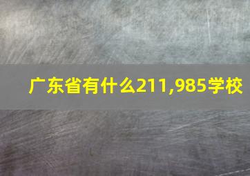 广东省有什么211,985学校