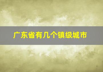 广东省有几个镇级城市