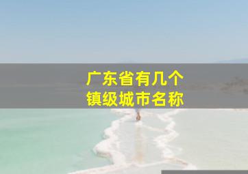 广东省有几个镇级城市名称