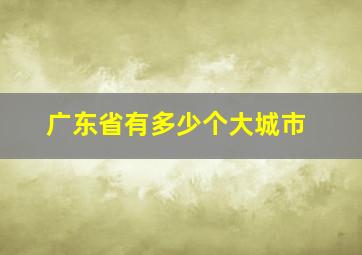 广东省有多少个大城市