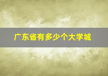 广东省有多少个大学城