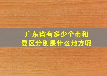 广东省有多少个市和县区分别是什么地方呢