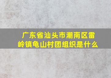 广东省汕头市潮南区雷岭镇龟山村团组织是什么