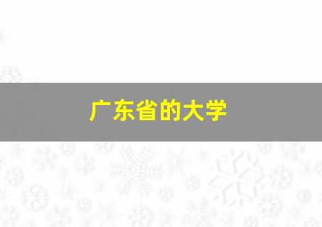 广东省的大学