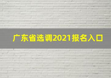 广东省选调2021报名入口