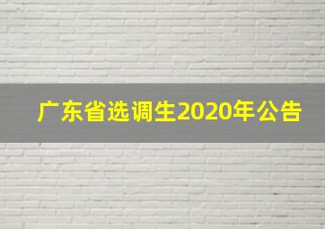 广东省选调生2020年公告