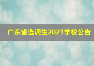 广东省选调生2021学校公告