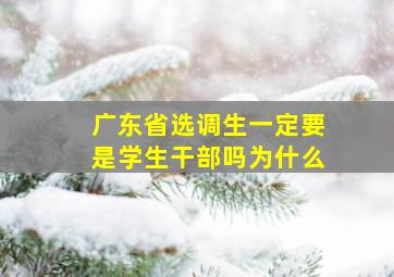 广东省选调生一定要是学生干部吗为什么