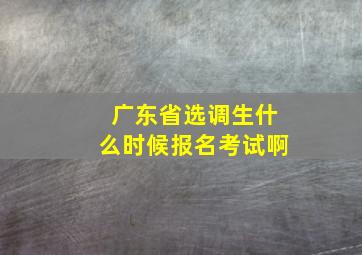 广东省选调生什么时候报名考试啊