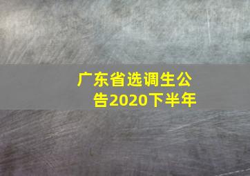 广东省选调生公告2020下半年