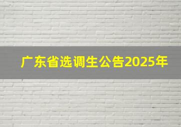 广东省选调生公告2025年