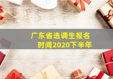 广东省选调生报名时间2020下半年