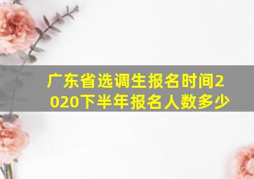 广东省选调生报名时间2020下半年报名人数多少