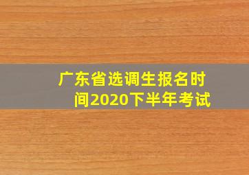 广东省选调生报名时间2020下半年考试