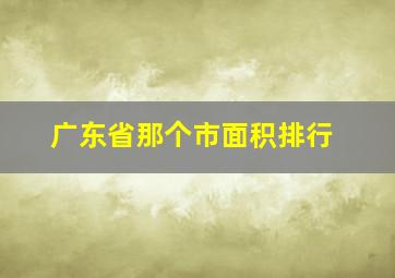 广东省那个市面积排行