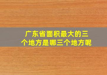 广东省面积最大的三个地方是哪三个地方呢