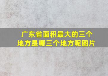 广东省面积最大的三个地方是哪三个地方呢图片