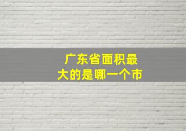 广东省面积最大的是哪一个市