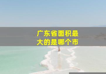 广东省面积最大的是哪个市