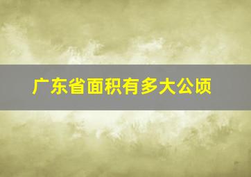 广东省面积有多大公顷