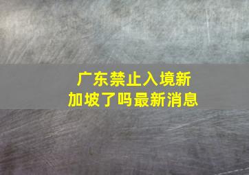 广东禁止入境新加坡了吗最新消息