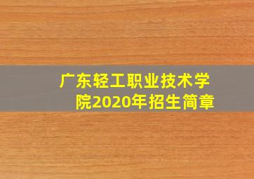 广东轻工职业技术学院2020年招生简章