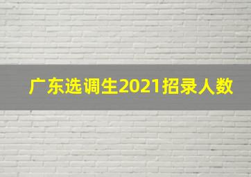 广东选调生2021招录人数