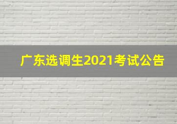 广东选调生2021考试公告