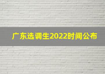 广东选调生2022时间公布