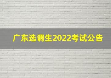 广东选调生2022考试公告