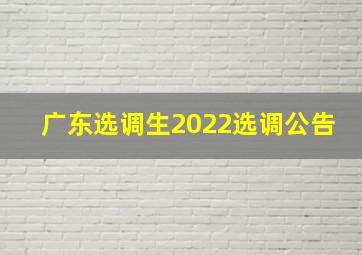 广东选调生2022选调公告