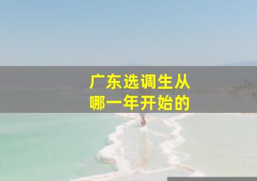 广东选调生从哪一年开始的