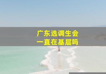 广东选调生会一直在基层吗