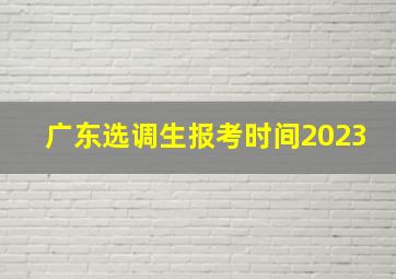 广东选调生报考时间2023