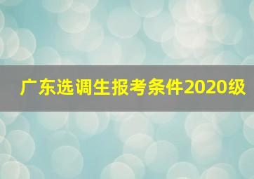 广东选调生报考条件2020级