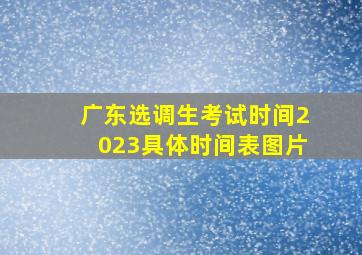 广东选调生考试时间2023具体时间表图片