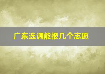 广东选调能报几个志愿